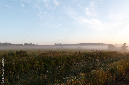 Morning fog on a new harvested field