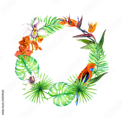 Fototapeta Naklejka Na Ścianę i Meble -  Tropical leaves, exotic birds, orchid flower. Floral wreath. Watercolor