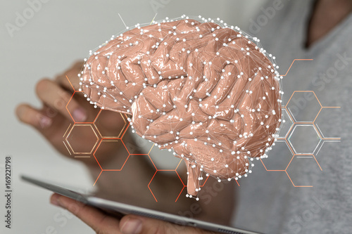 brain