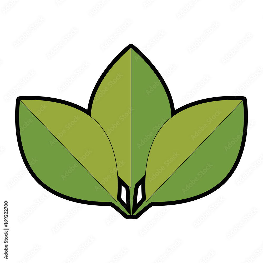 leaves icon over white background vector illustration