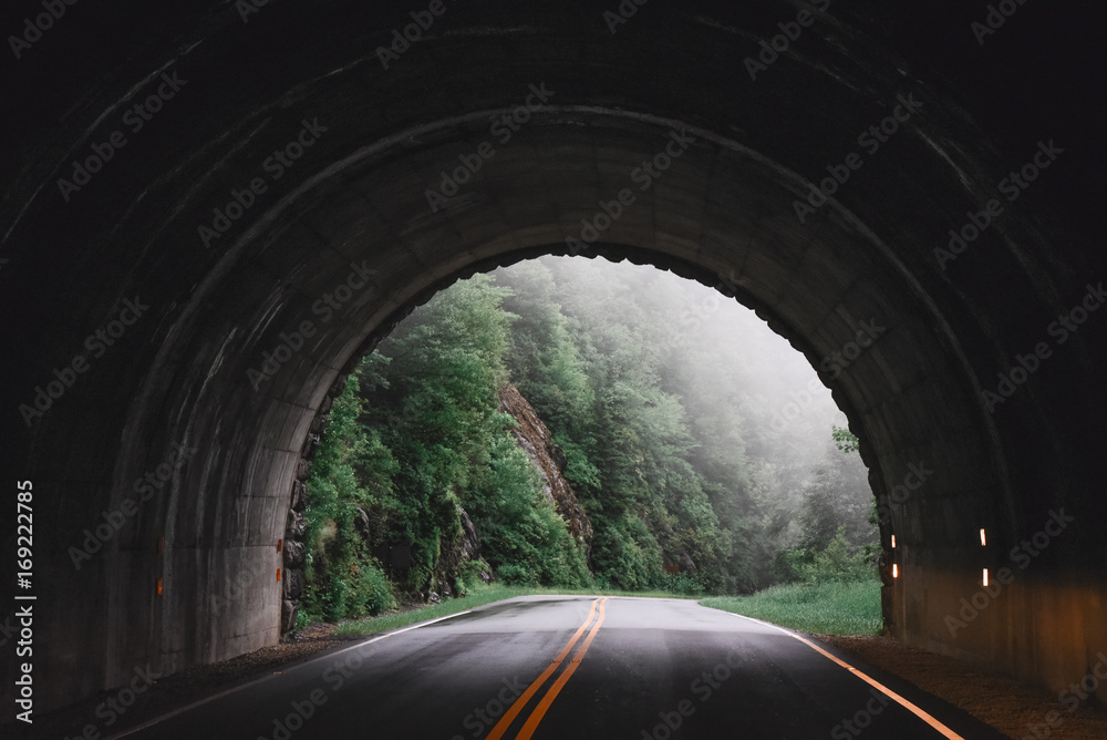 Foggy tunnel road // Blue Ridge Parkway, North Carolina - obrazy, fototapety, plakaty 