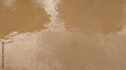 Opaque water in the Prapa canal,Prapa canal are raw water of tap water