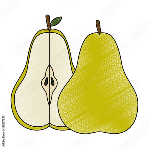 Pear delicious fruit icon vector illustration graphic design