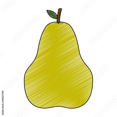 Pear delicious fruit icon vector illustration graphic design