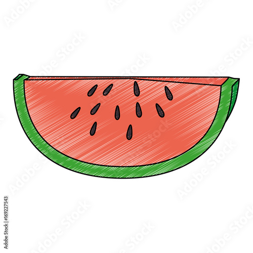 Watermelon sweet fruit icon vector illustration graphic design