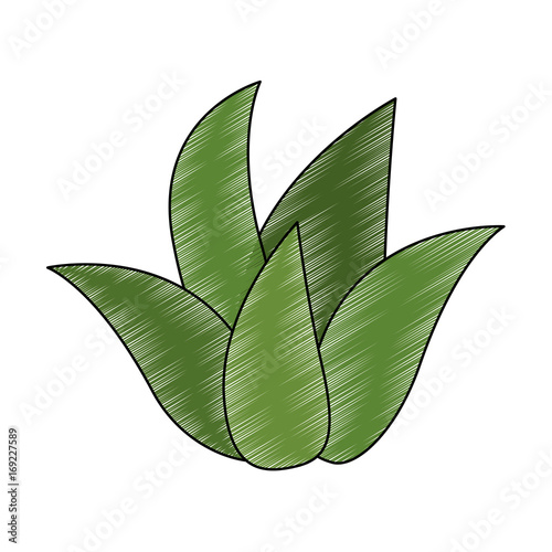 Sweet and delicious pineapple icon vector illustration graphic design