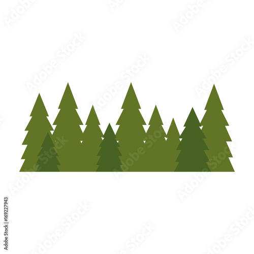 Tree pines isolated icon vector illustration graphic design