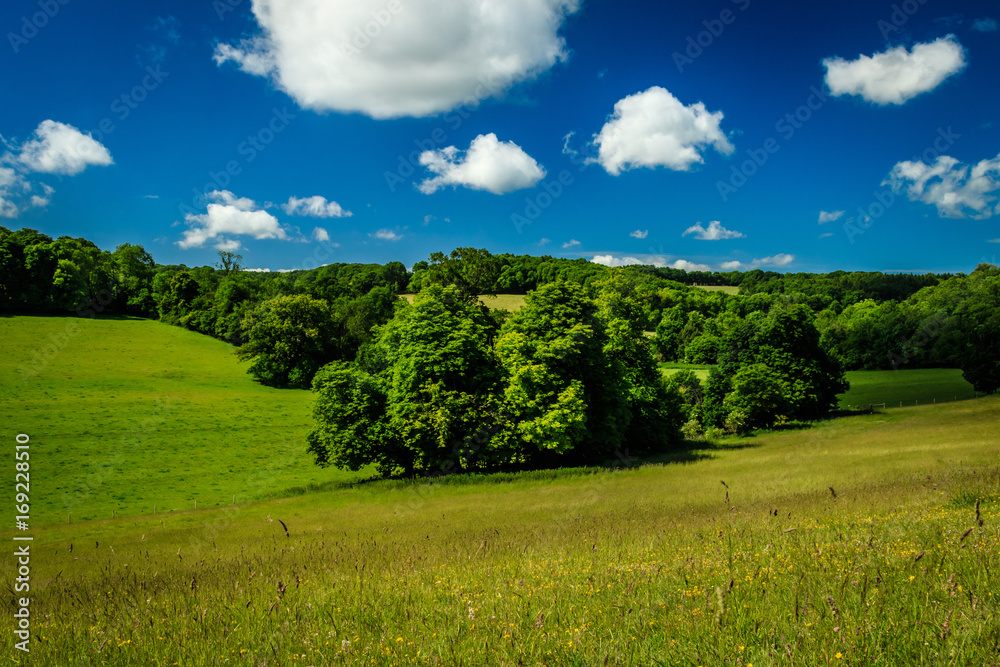 Fototapeta premium Polesden Lacey