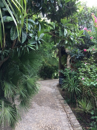 la roque gageac dordogne rue ruelle tropique tropical plante plantation palmier bananier tourisme promenade