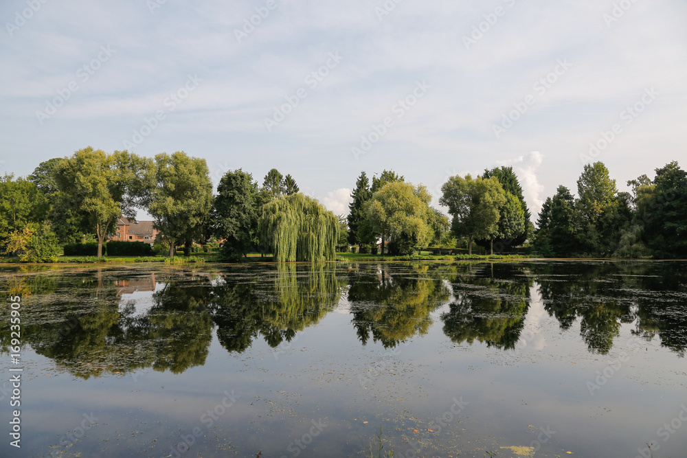 Park, Teich, Wasser, Bäume, Landschaft, Grün, Rasen, Wanderwege, Erholung, Spaziergang, Baum, Büsche, Park, Teich, Wasser, Bäume, Landschaft, Grün, Rasen, Wanderwege, Erholung, Spaziergang, Baum, Büsche,
