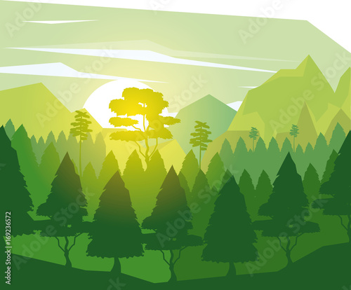 Colorful Background With Landscape Of Pine Trees In Dawn Vector