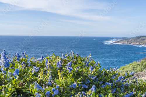 Avila Beach California