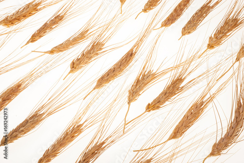 Wheat ears