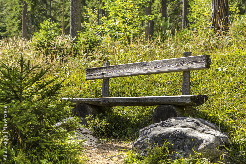 Fototapeta premium park bench