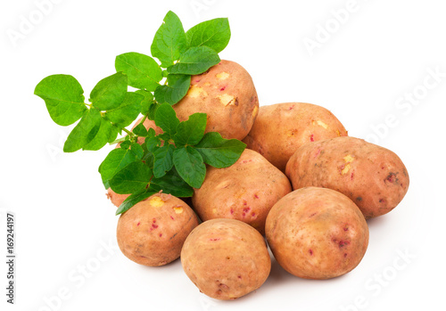 Red potatoes with leaves on a white