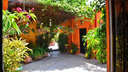 PLANT GARDEN HOUSES MEXICO © Roberto