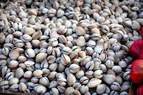 Clams for sale