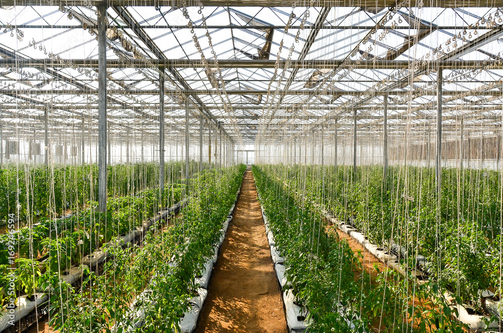 Indoor farming