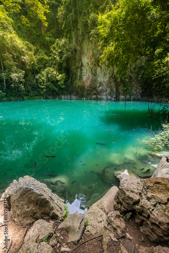 Fototapeta Naklejka Na Ścianę i Meble -  The emerald pool, Northern Thailand