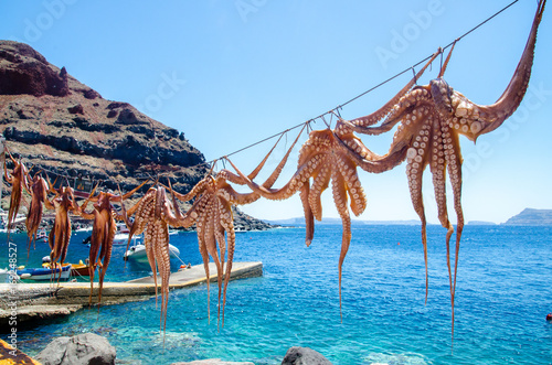Santorini Octopus on Oia