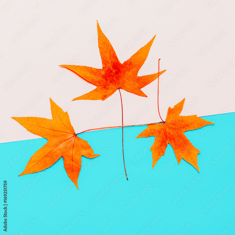 Set Leaf Autumn season Minimal art design Set Leaf Autumn season Minimal art design
