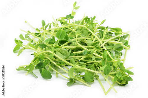 Bunch of pea shoots