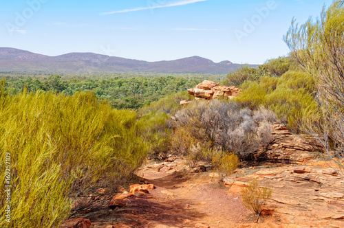 View from the Wangara Lookout track in the Flinders Ranges - Wilpena Pound, SA, Australia photo
