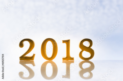 2018 NEW YEAR Business and saving money concept. 2018 gold wooden alphabets with reflection and sky background.