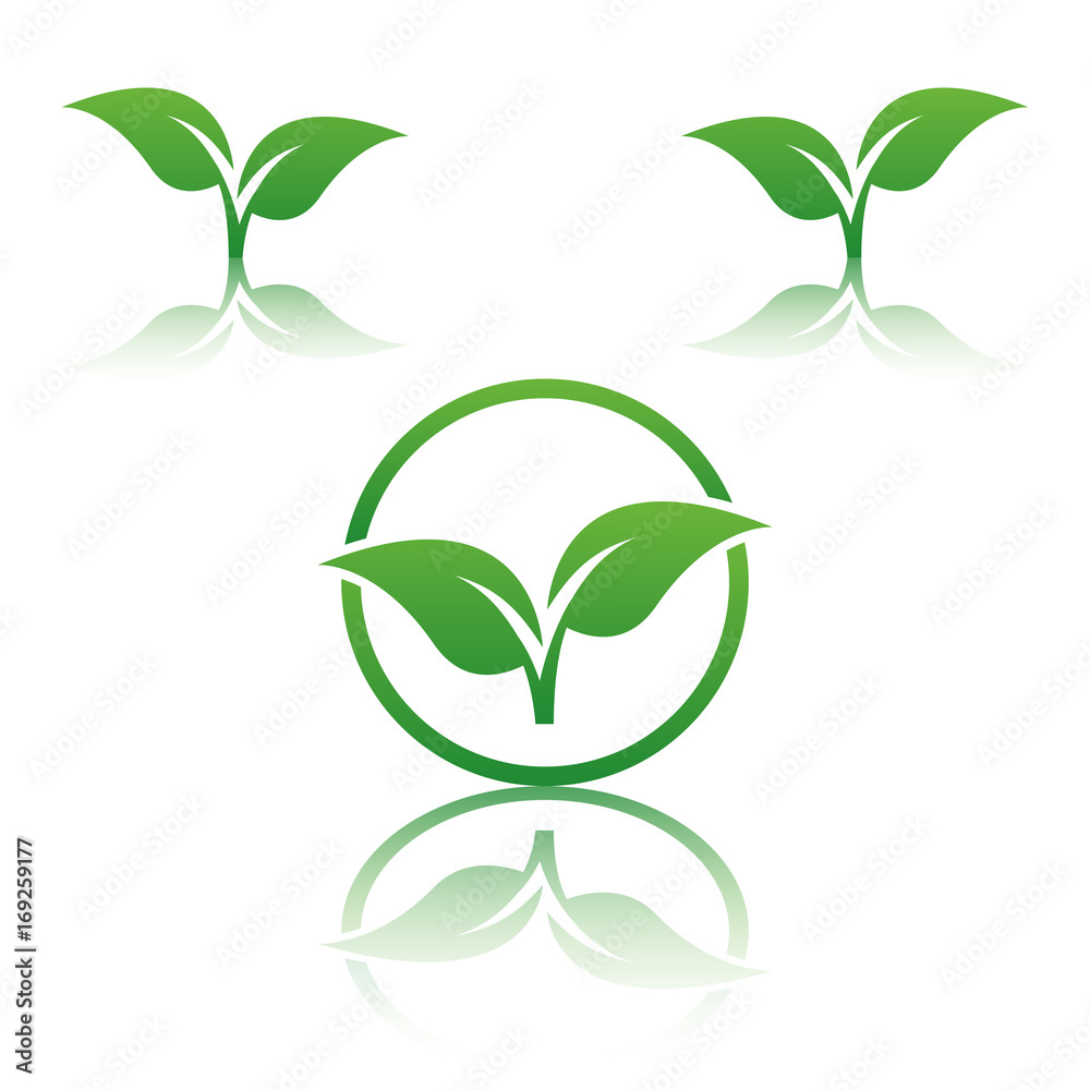 Fototapeta premium Abstract vector tree emblem. Eco lifestyle concept illustration.