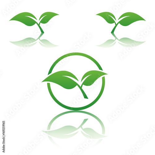 Abstract vector tree emblem. Eco lifestyle concept illustration.