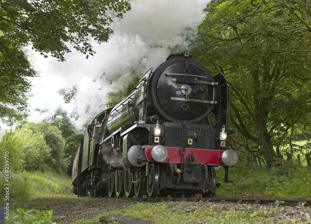 Naklejka premium Parowóz ciągnący pociąg po stromym zboczu Kornwalii, Anglia, Wielka Brytania.