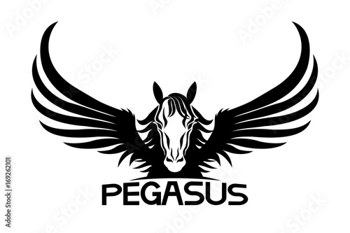 Sign of pegasus.