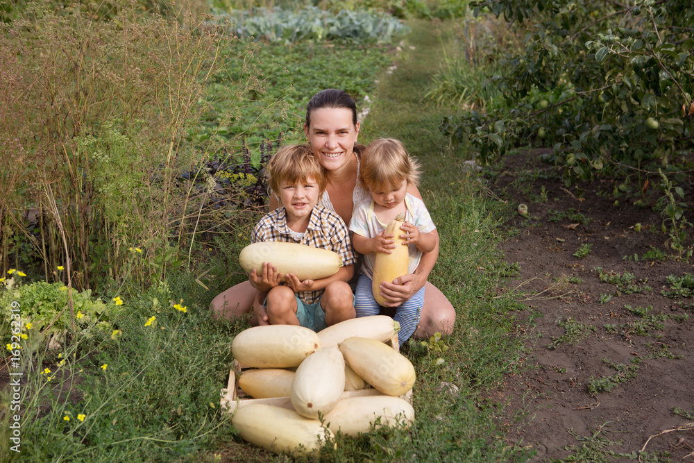 happy mother and two her little children with vegetables vegetable marrows sit on a grass n a garden. Healthy lifestyles concept happy mother and two her little children with vegetables vegetable marrows sit on a grass n a garden. Healthy lifestyles concept