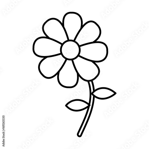 beautiful flower icon over white background vector illustration