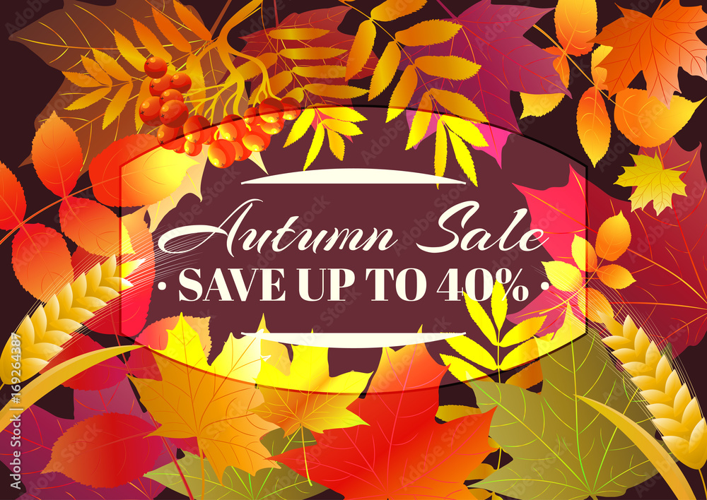 Autumn sale poster, flyer, card template with typography. Bright fall maple leaves, spica, rowanberry. Vector illustration. - obrazy, fototapety, plakaty 