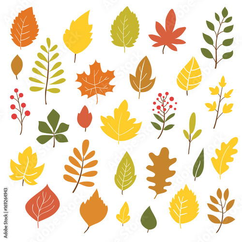 Autumn leaves, hand drawn style, vector illustration