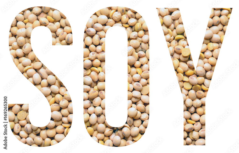 Obraz premium soy