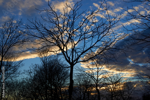 Sunset in winter