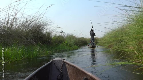 Cruising through the Okavango Delta in a Mokoro (4K footage)