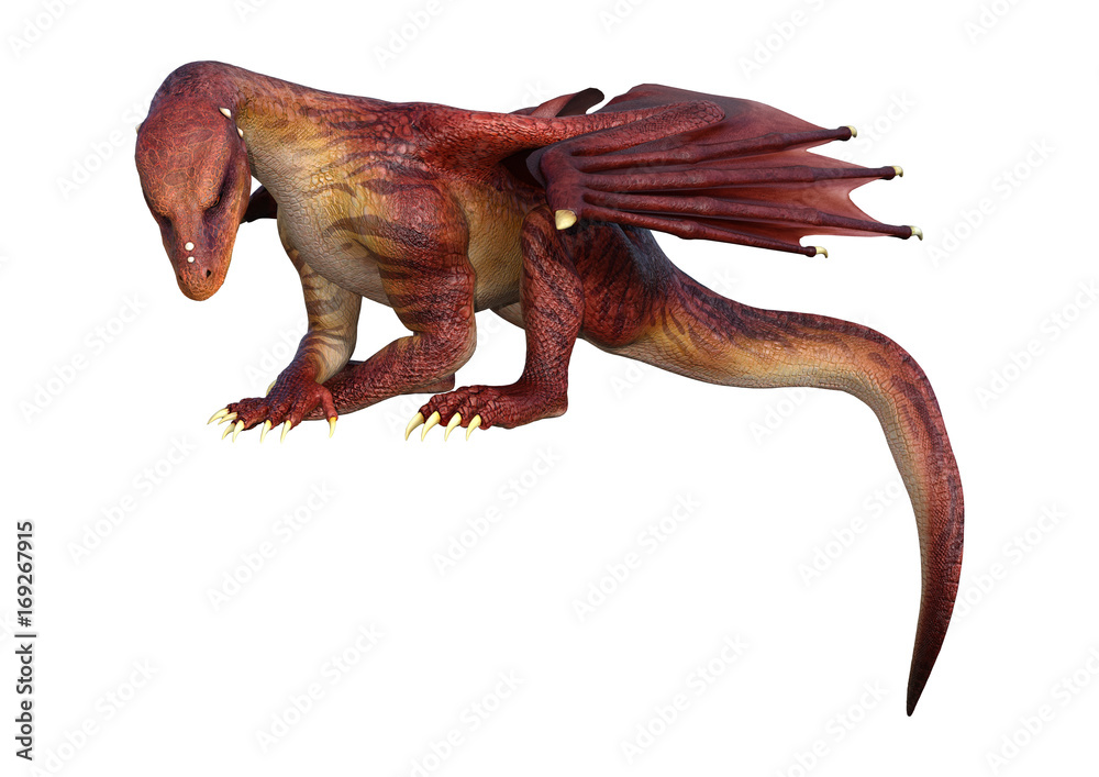 Fototapeta premium 3D Rendering Fantasy Dragon on White