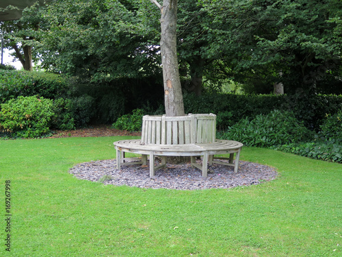Wooden circular bench around tree