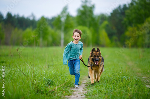 A little boy runs across the green meadow with his big German shepherd on a leash. The dog strained his ears and peered into the distance © Daria