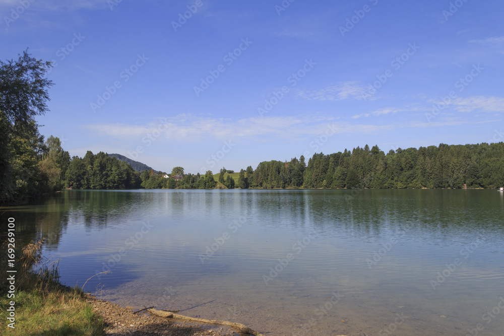 Bergblick am Forggensee