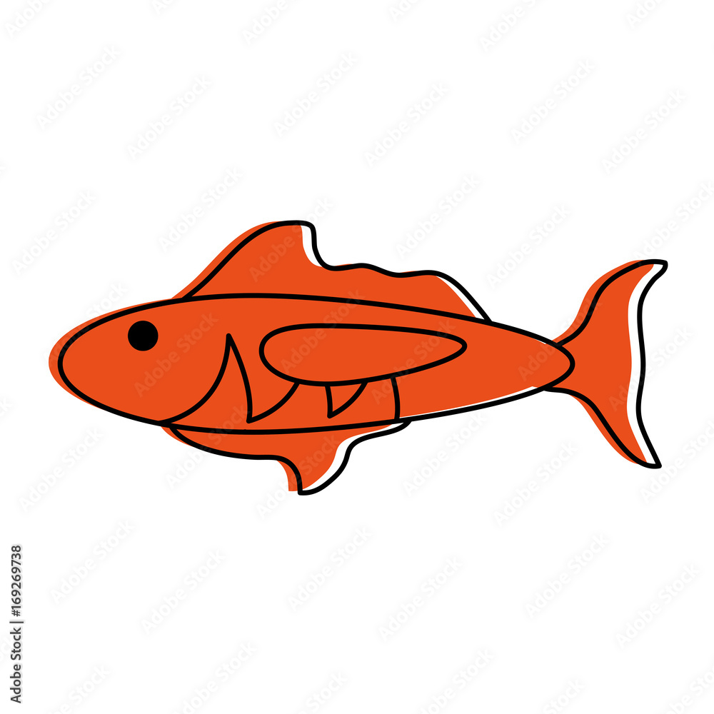 cartoon fish icon image vector illustration design orange color cartoon fish icon image vector illustration design orange color