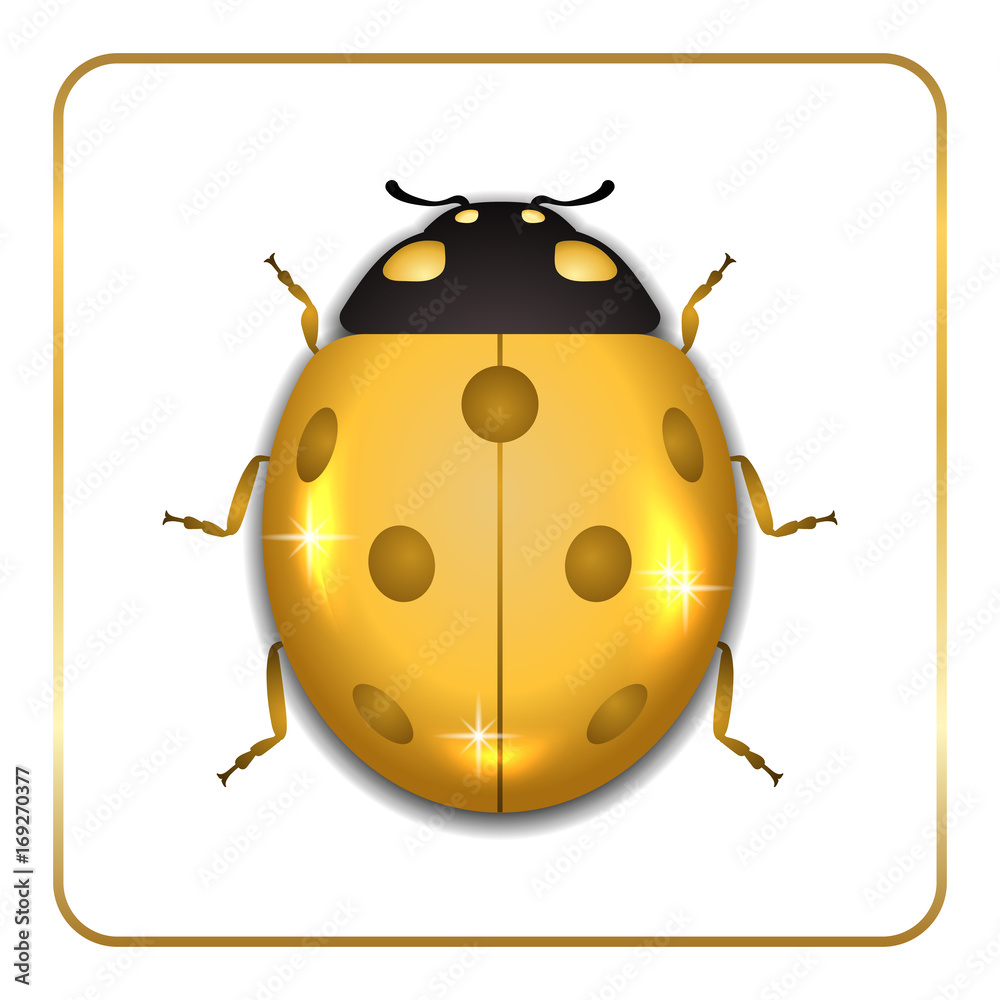 Ladybug gold insect small icon. Golden lady bug animal sign, isolated on white background. 3d volume design. Cute jewelry ladybird design. Cartoon lady bird closeup beetle. Vector illustration Ladybug gold insect small icon. Golden lady bug animal sign, isolated on white background. 3d volume design. Cute jewelry ladybird design. Cartoon lady bird closeup beetle. Vector illustration