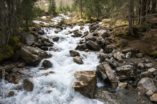 Mountain brook in Alps