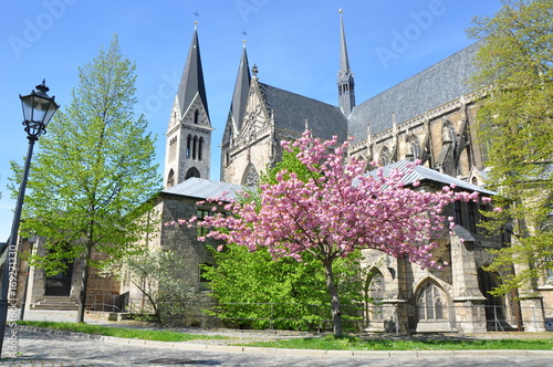 Dom St. Stephanus und St. Sixtus in Halberstadt photo