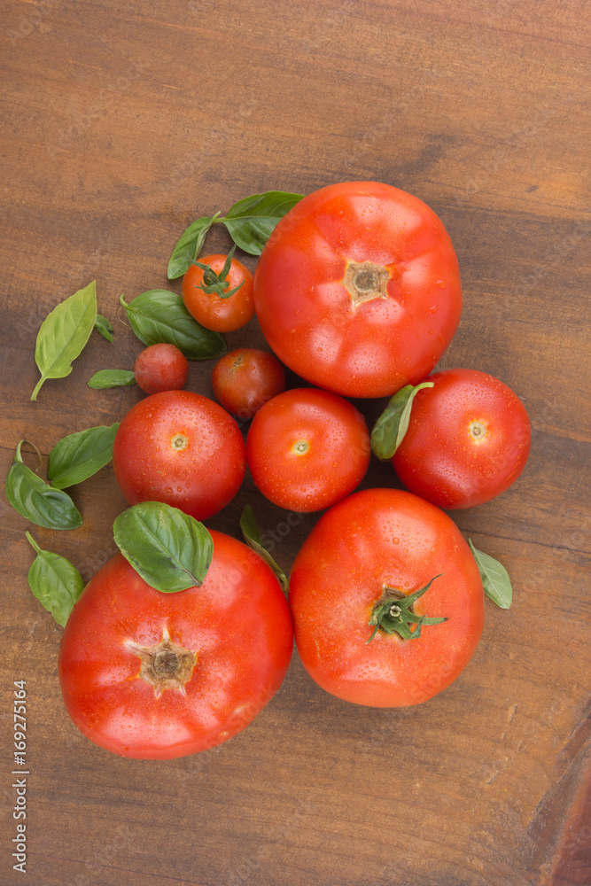 Unterschiedlich große, aus der Vogelperspektive gesehene Tomaten, mit Basilikum auf Holzbrett Unterschiedlich große, aus der Vogelperspektive gesehene Tomaten, mit Basilikum auf Holzbrett