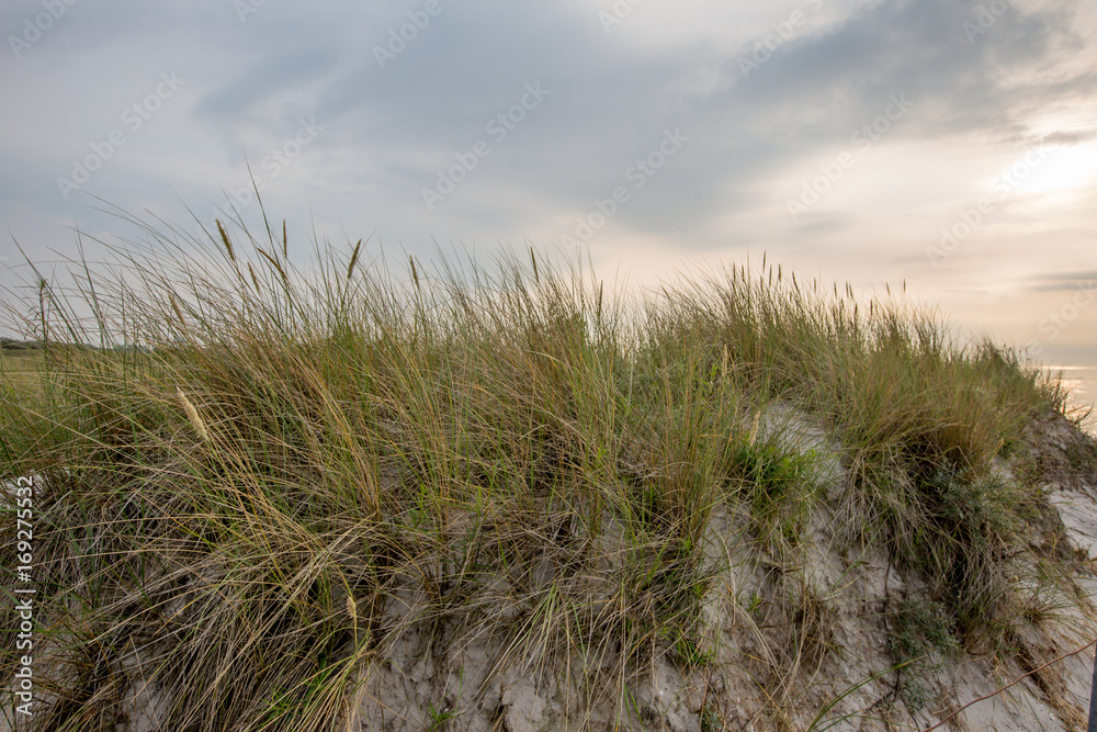 custom made wallpaper toronto digitalSonnenuntergang an der Ostsee