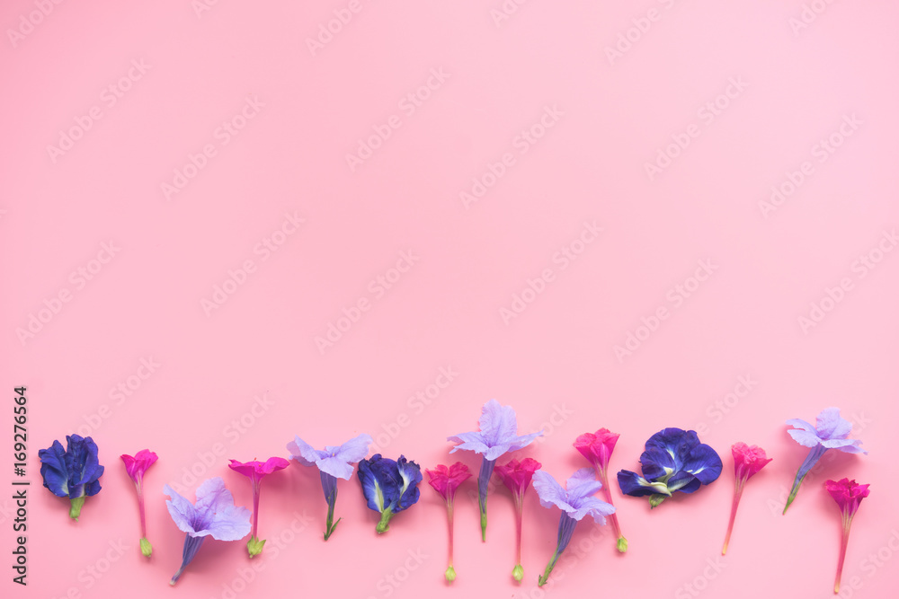 Top view of pink and purple flower on pink background with copy space.